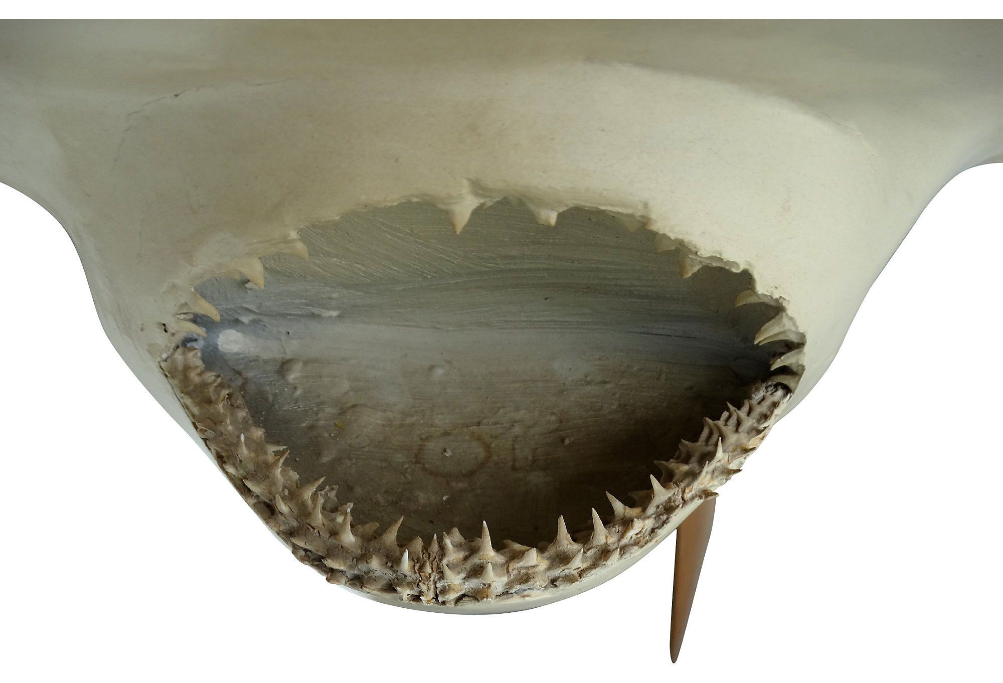 Full Size Taxidermy Hammerhead Shark Mount Modernism